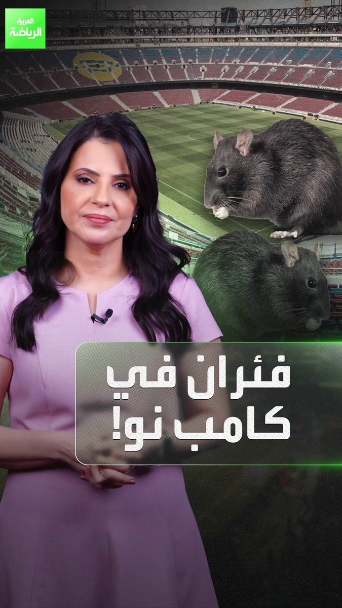 ليست نكتة الموسم.. إنها حقيقة. الفئران تهاجم كامب نو وتهدد عودة برشلونة إليه 
