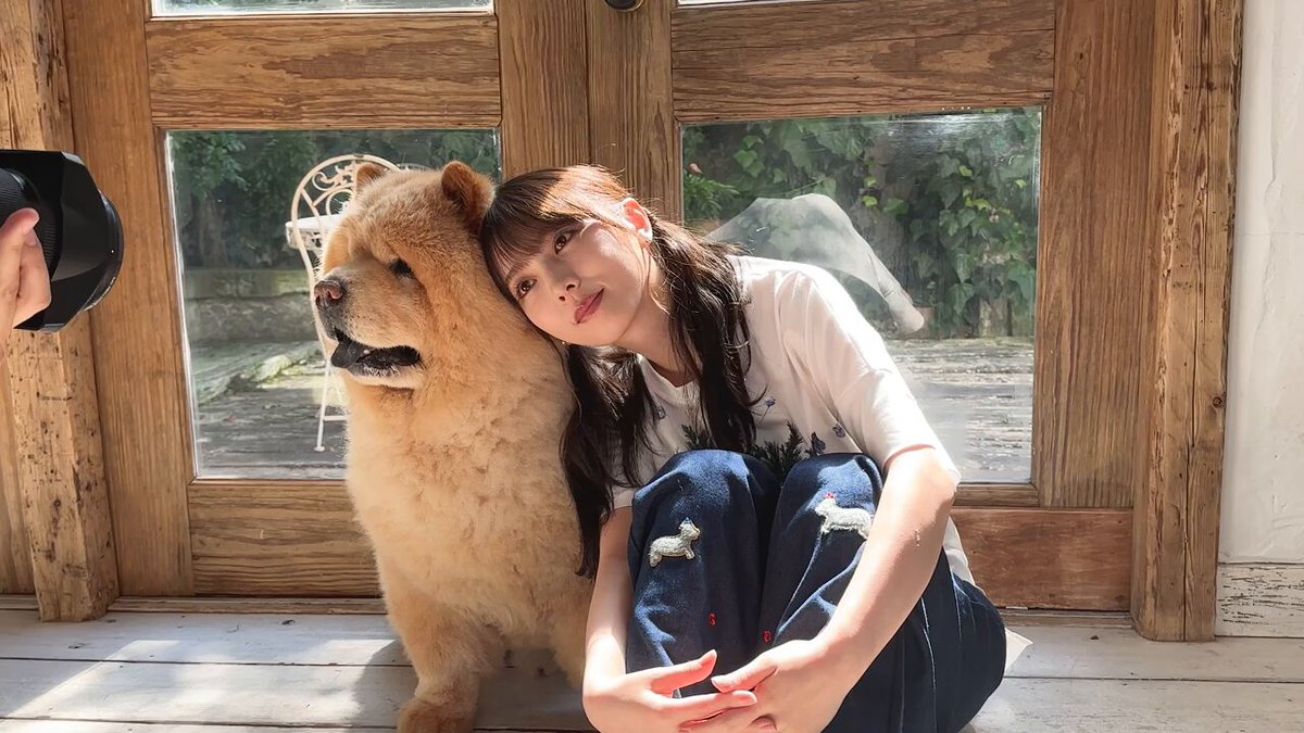 与田祐希 犬の着ぐるみ 写真 2018 月刊わんこ編集部 on X: 