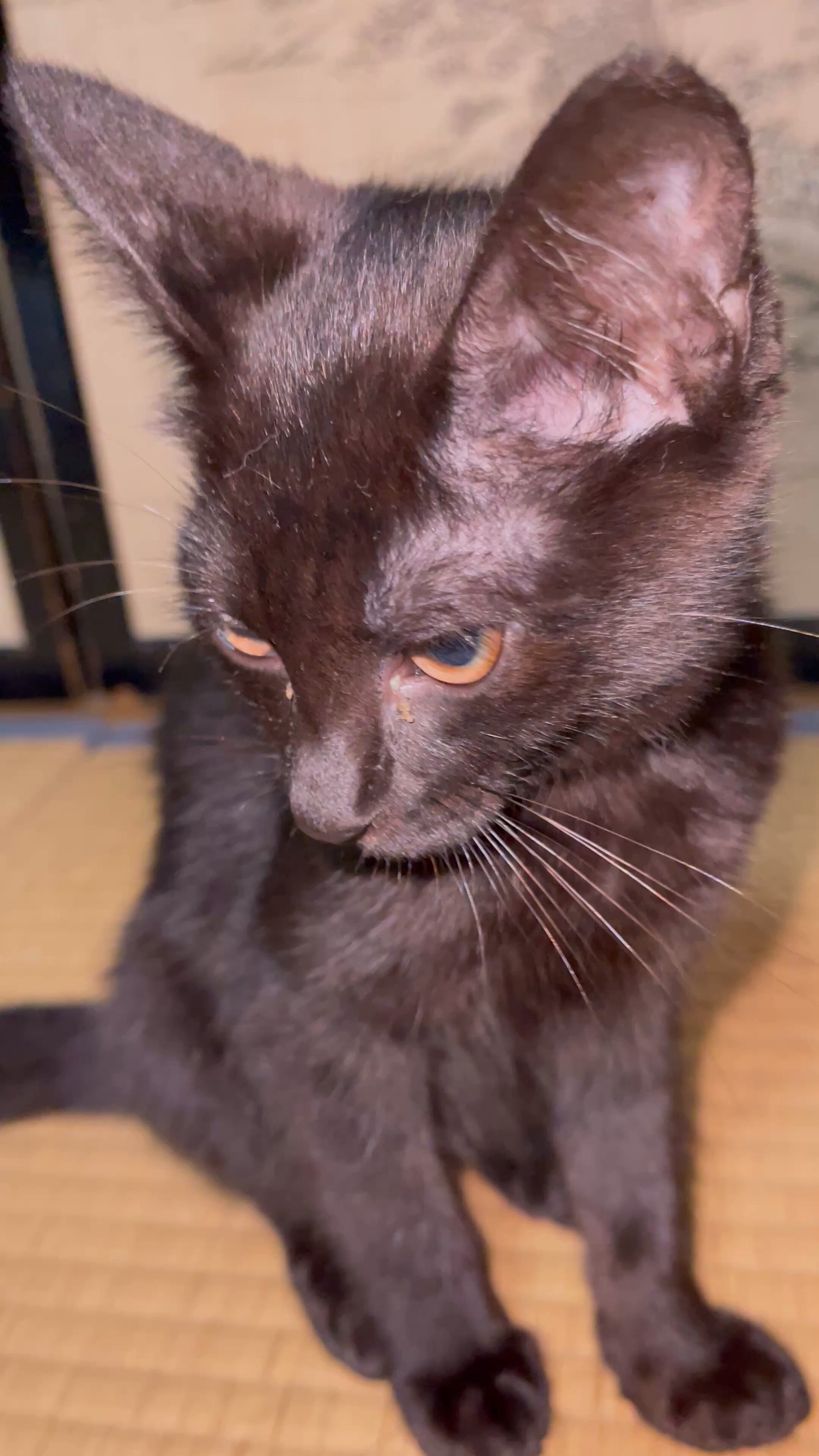 ザドの部屋 【配信者/VRダンサー】 on X: 