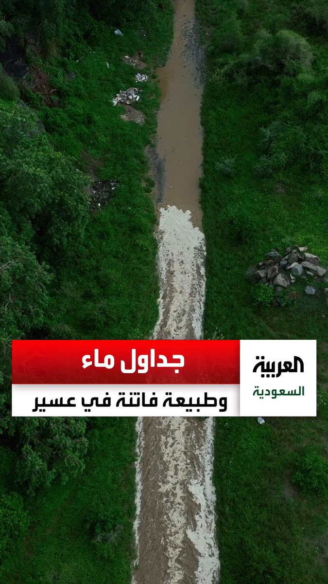 جداول ماء ومساحات خضراء... مشاهد فاتنة لمركز قنا جنوب غرب السعودية بعد هطول الأمطار. عبر 