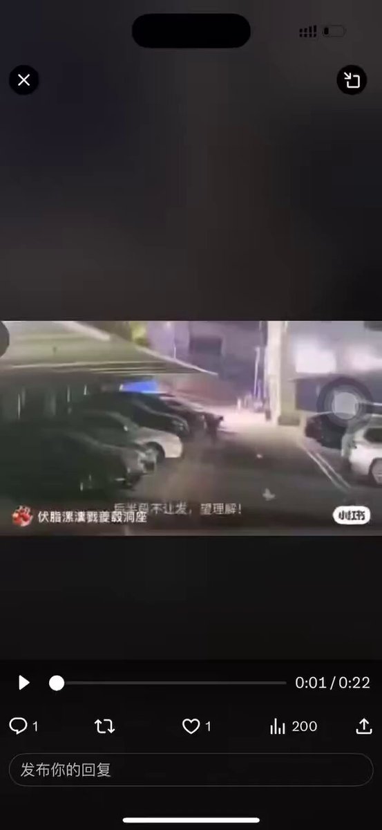 Embedded video
