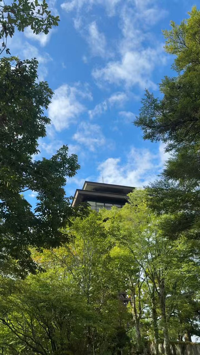 ⭕️ミッチー様774短い秋600大雪の奥飛騨 shin 天岩戸ならぬ甘い岩納豆 (@ffShin3) / X