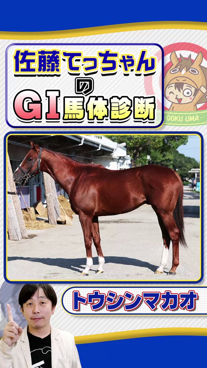 競馬予想　極4 日刊スポーツ競馬 極ウマ【公式】 on X: 