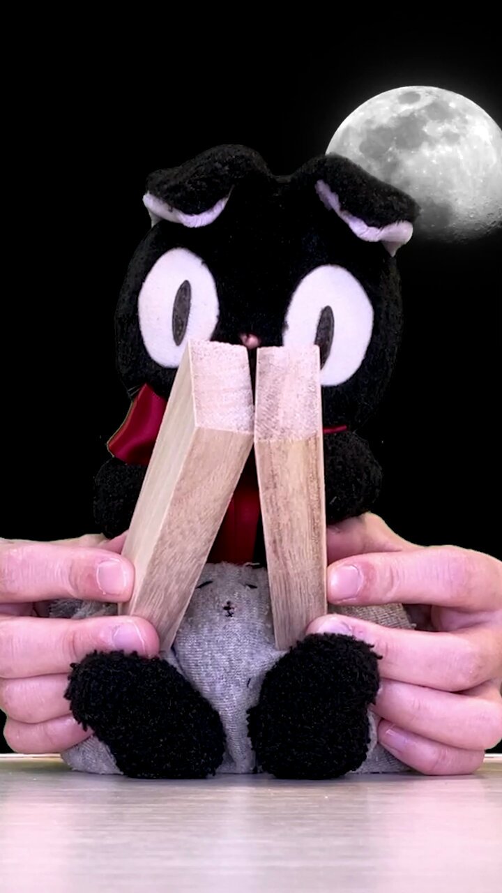 クロのぬい シナダ SHINADA ぬいぐるみ もちねこ クロ(XL) MONE-0880B