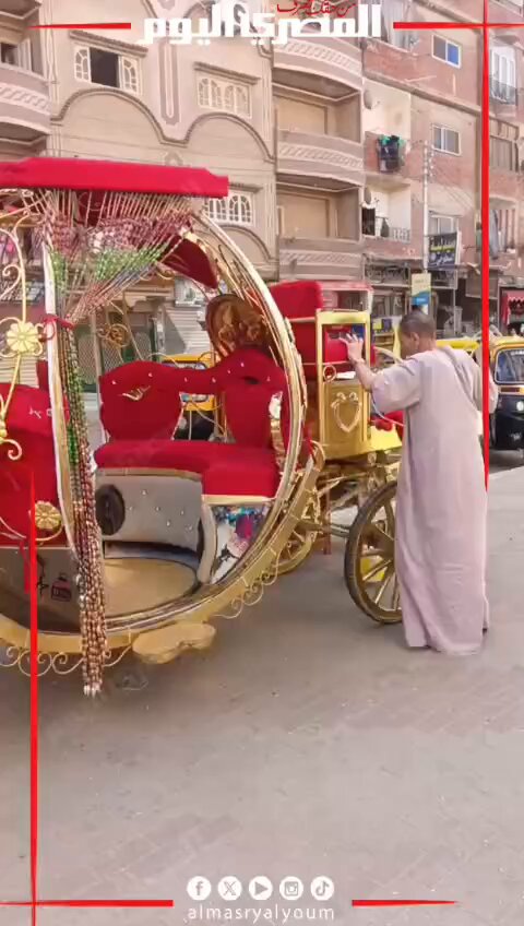 ب2 حصان..الحنطور الملكي يخطف الأنظار في شوارع كفر الشيخ. تصوير أحمد داود 