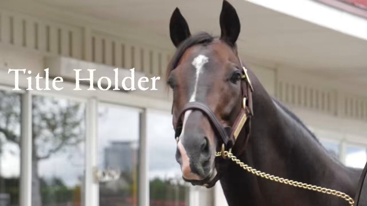 馬グッズ ホースシュー 【公式】🐎 (@horseshoe_uma) / X