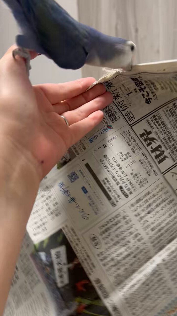 うんこ掃除係 (@9_9_9_9_9_) / X