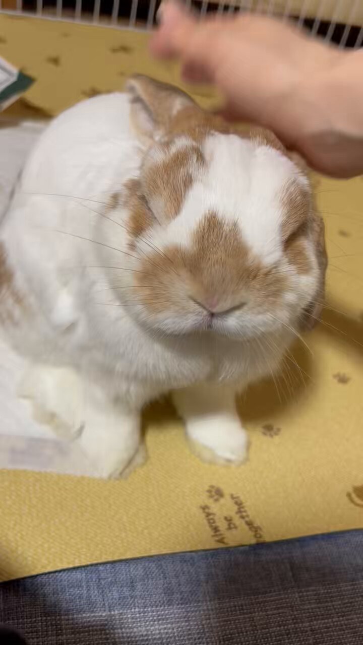 ®様へ♥3/10 まる on X: 
