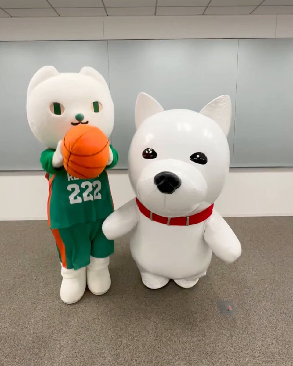 りそな銀行　りそにゃぬいぐるみ　2体 613ymoFimpL._AC_SY200_QL15_.jpg