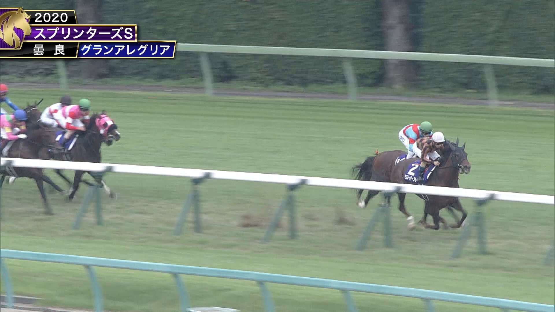 第62回宝塚記念サーバーセットプレミア JRA公式 (@JRA_Special) / X