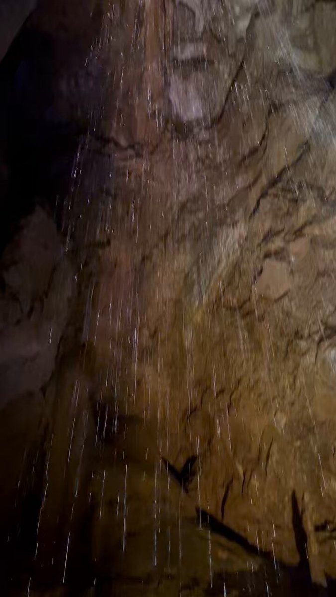 Sᴀʀᴀ@ Sʜɪɴʀʏᴜ 🜸 on X: 