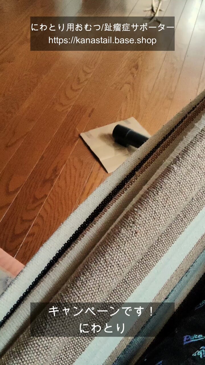 kana's tail 部屋にニワトリがいます。へやにわとり。 on X