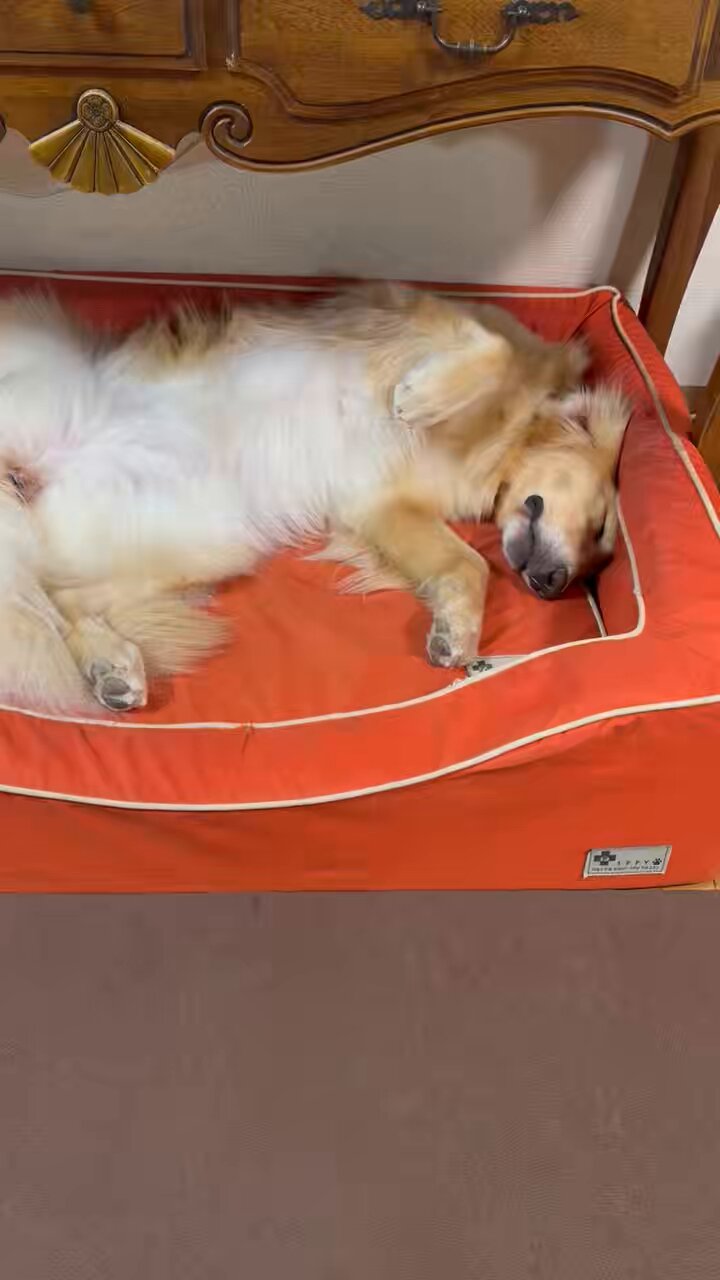 Kaori Honda (@honda_kaori) / X