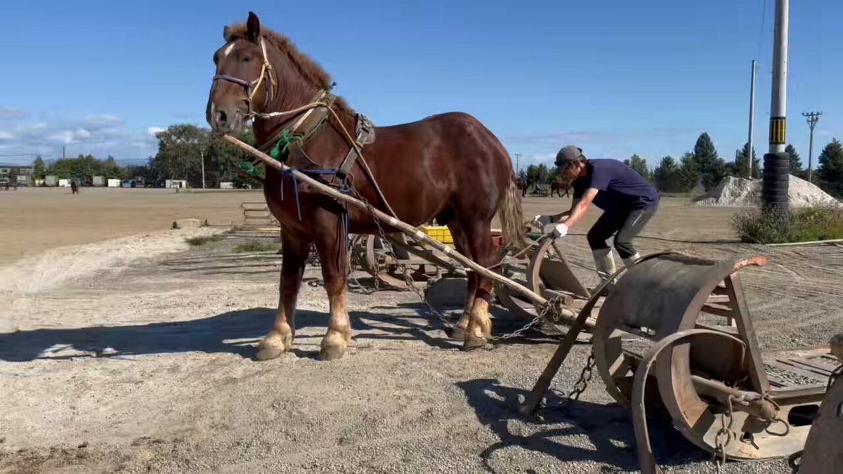 すみれ (@330smile330) / X