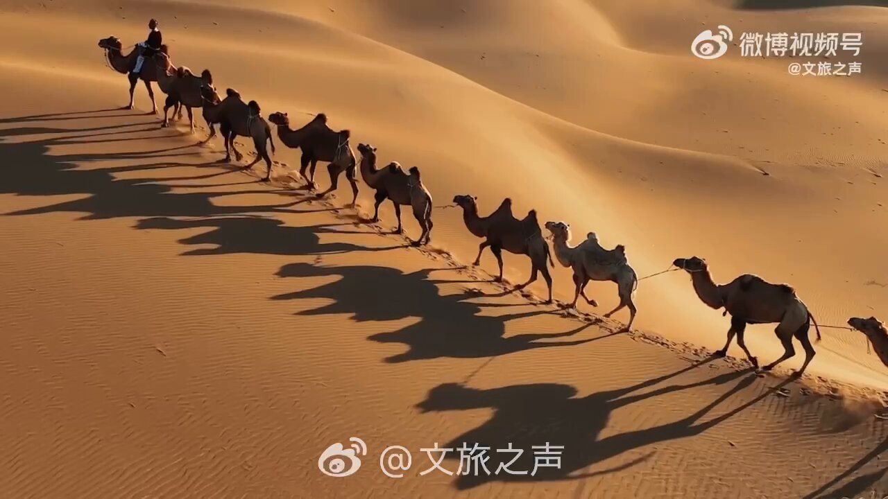 中華人民共和国駐日本国大使館 on X: 