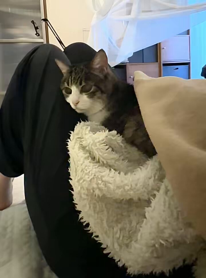 ショットガン🍎マーナミー🍡 on X: 