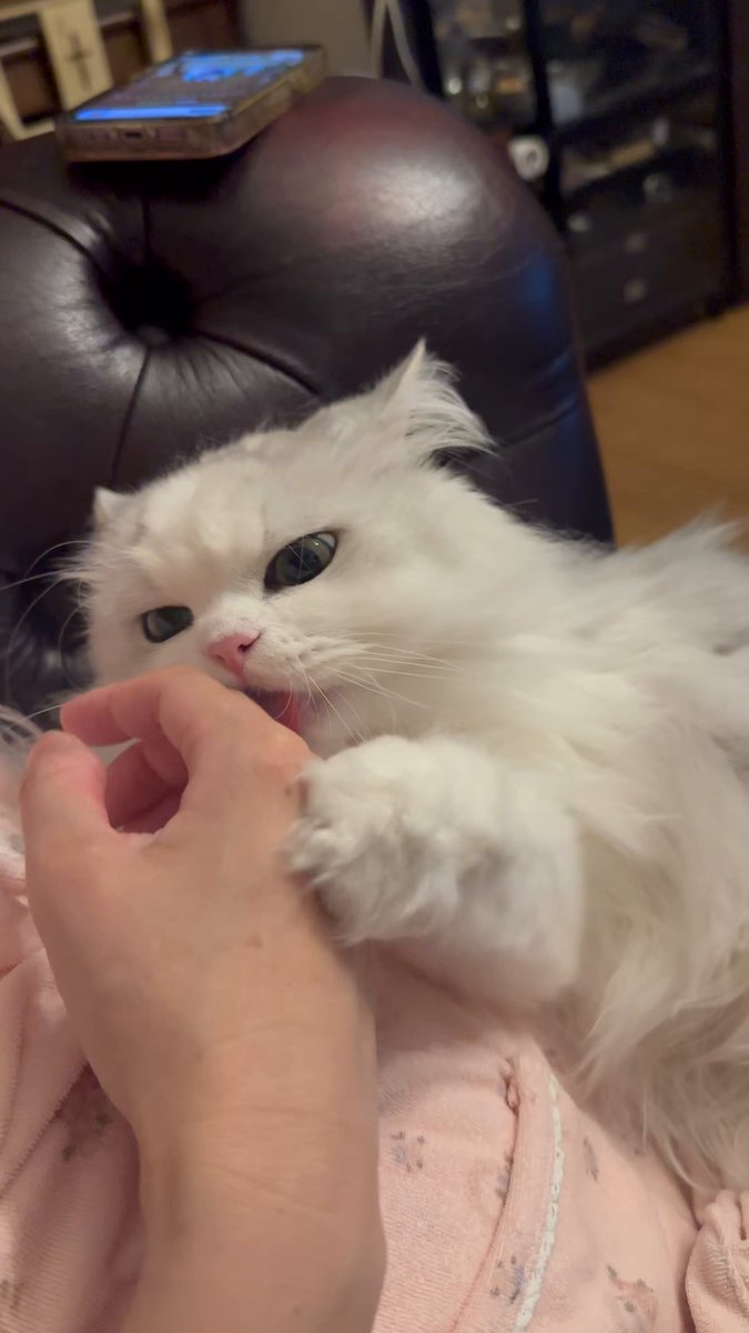 愛のトランプうらない 61Wighl6yUL._AC_UF350,