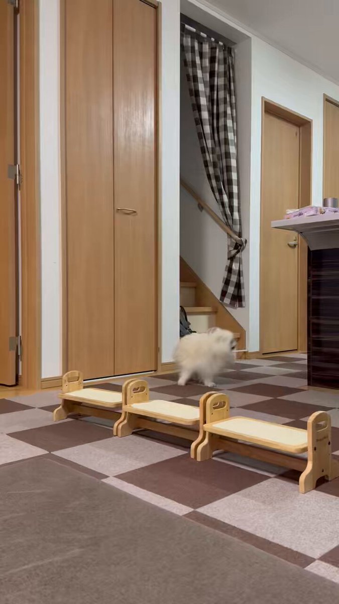 ぽん「3ポメ~お花リース」「ポメと柴犬~インコS字飾り」 エナガさんのポンポンリース シマエナガ アートフラワー