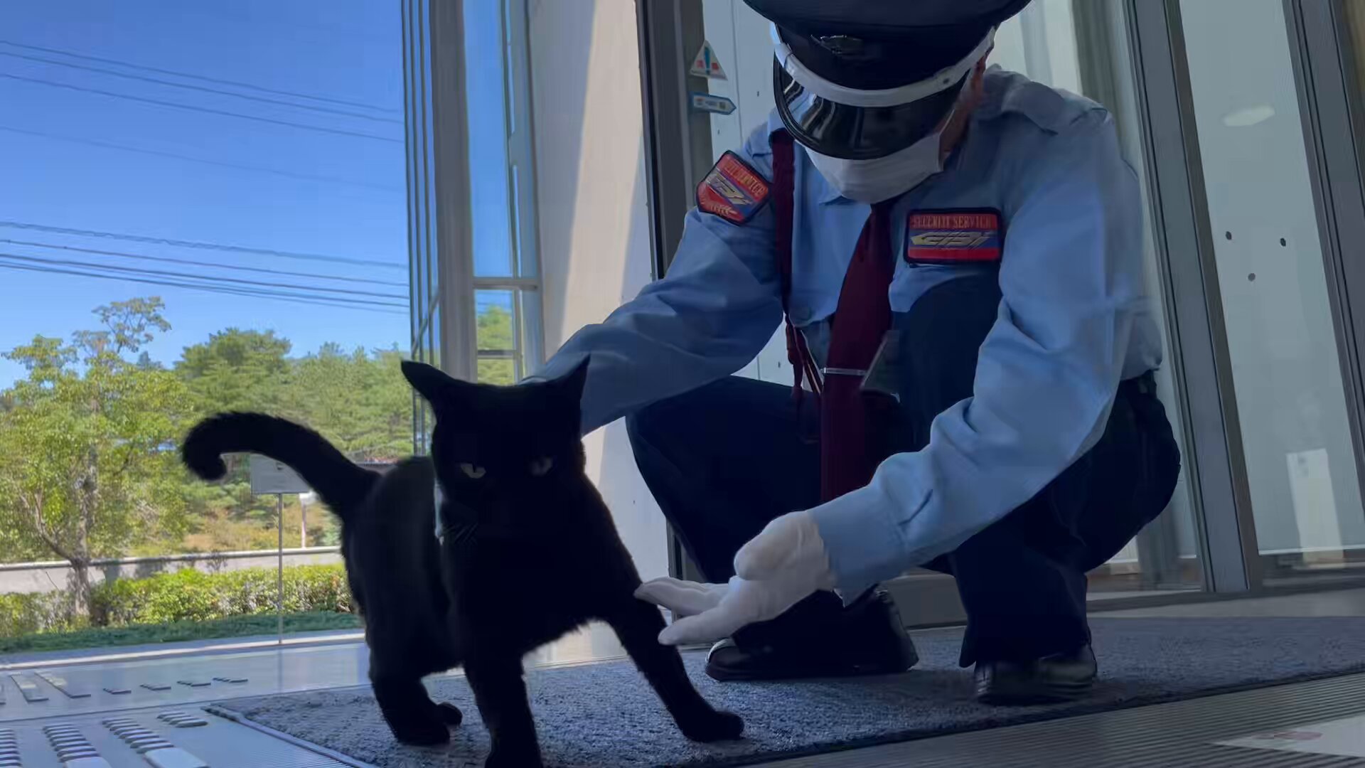 猫田にゃん シナダ SHINADA ぬいぐるみ もちねこ クロ(XL) MONE-0880B