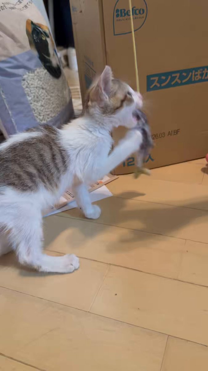 ☁️ケンケンケン🩷 (@kenkenken_1701) / Posts / X