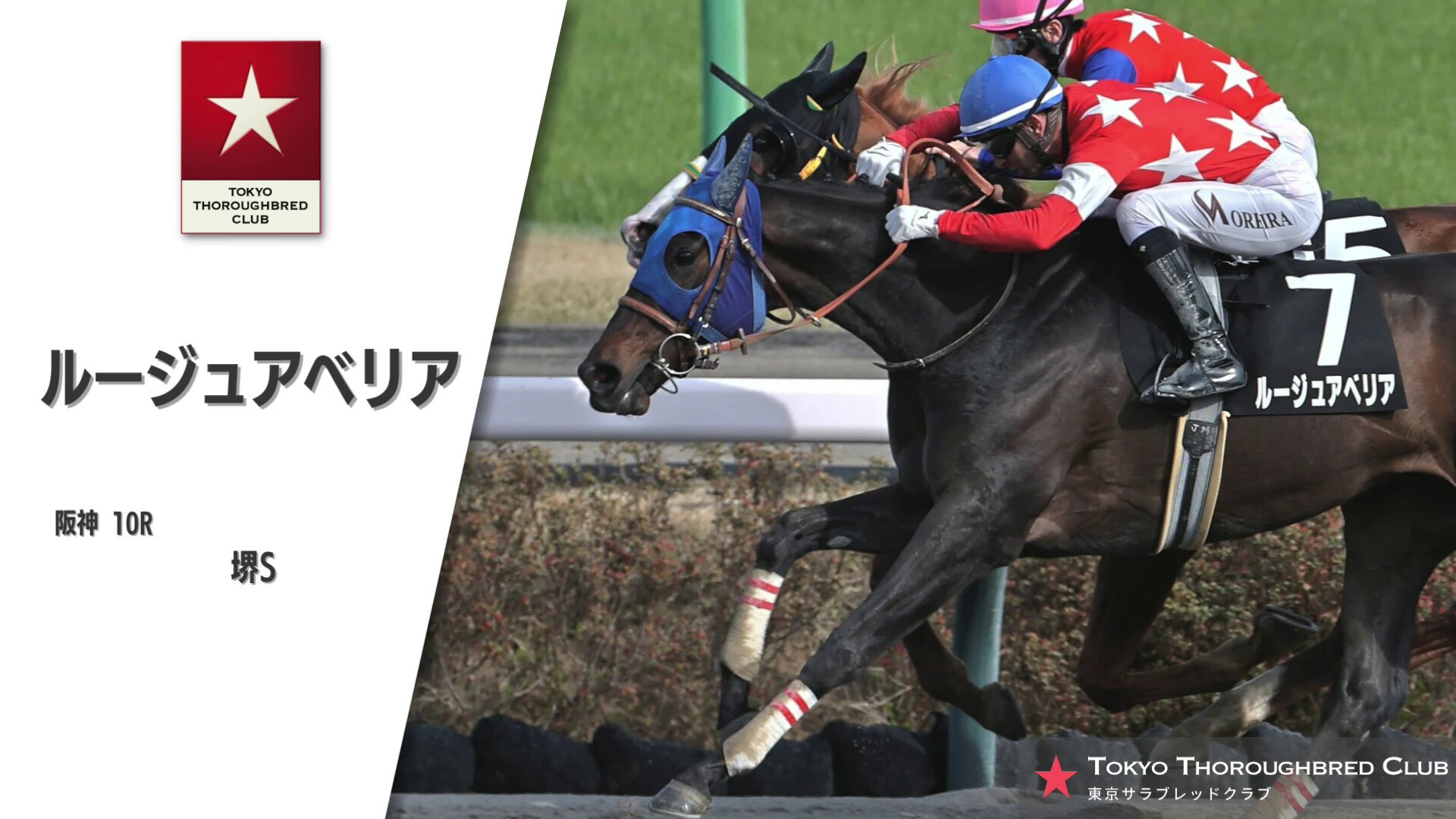 公式】東京サラブレッドクラブ on X: 