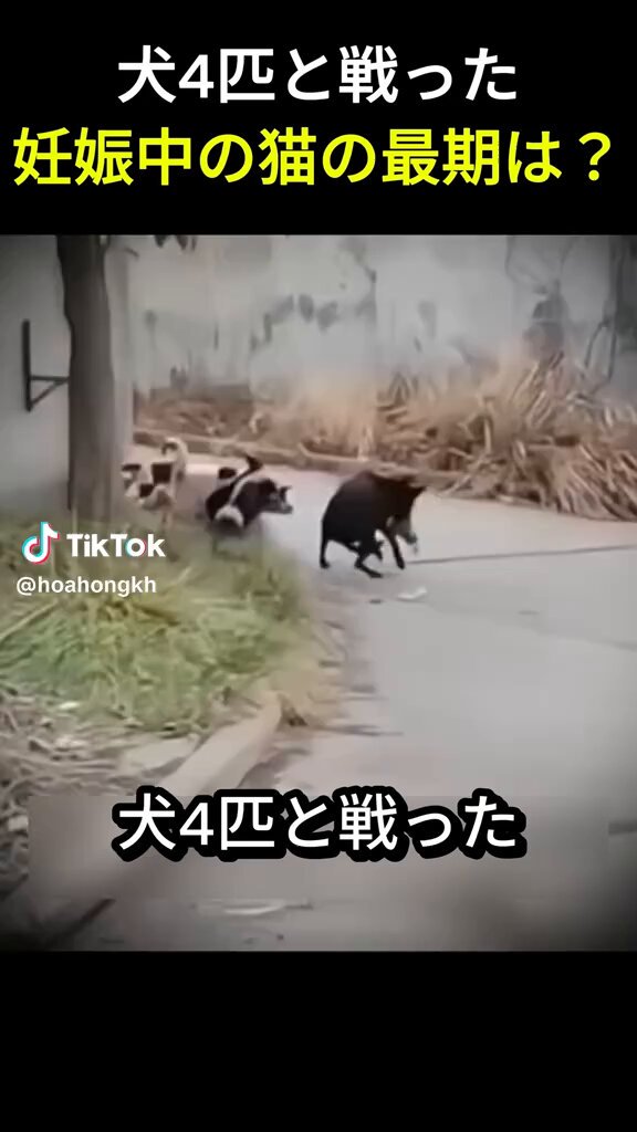 山田 太郎 (@yamada25tm2): 