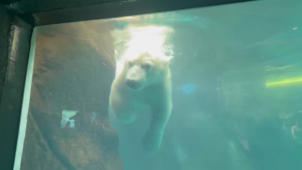 森の中の動物園 caption.jpg?w=200&h=-1&s=1