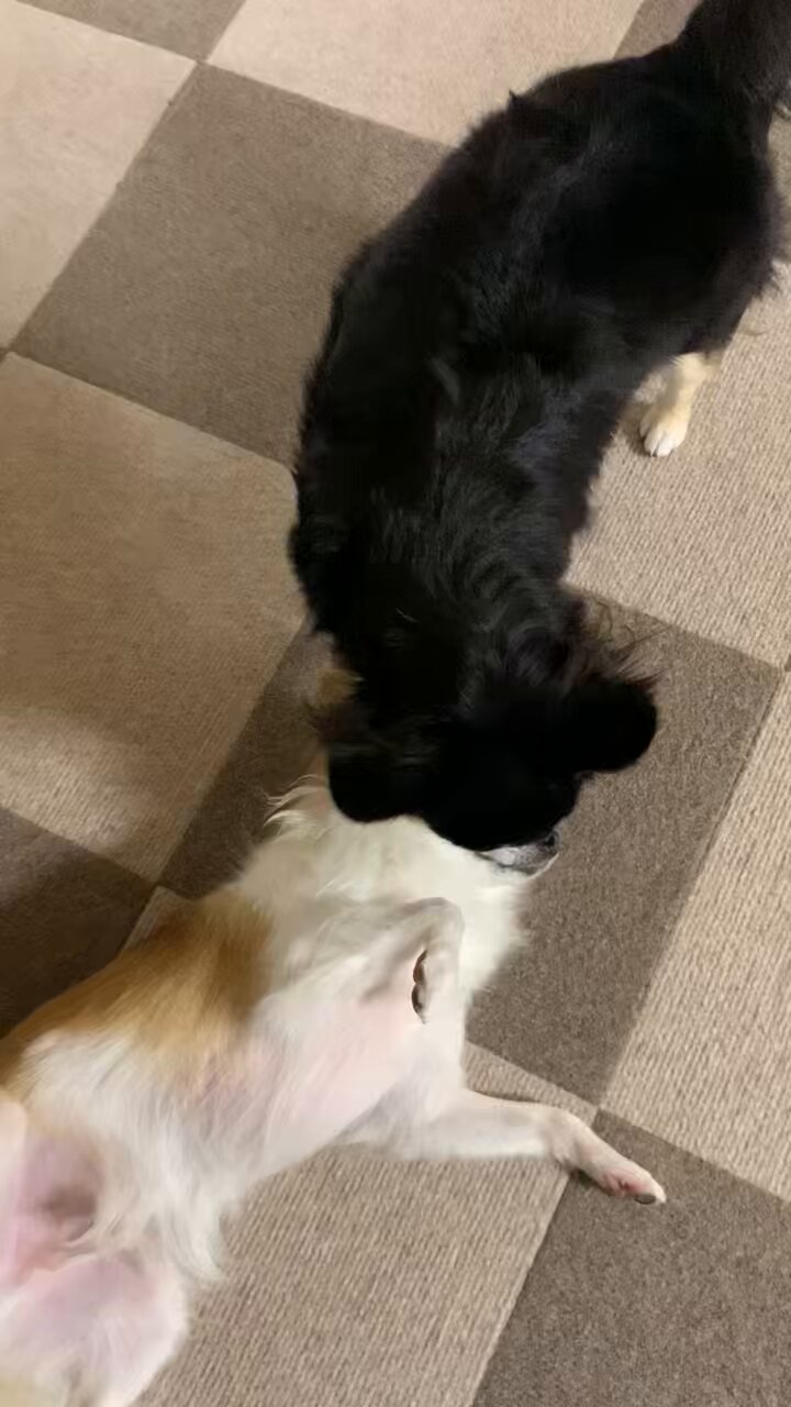 えーちゃん on X: 