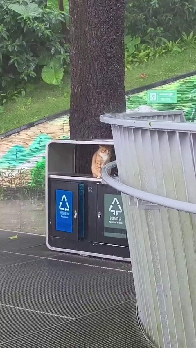 ＊14,000円で購入希望のぴくさんに販売することに決定致しました。 すえキチ (@suekichi8341) / X