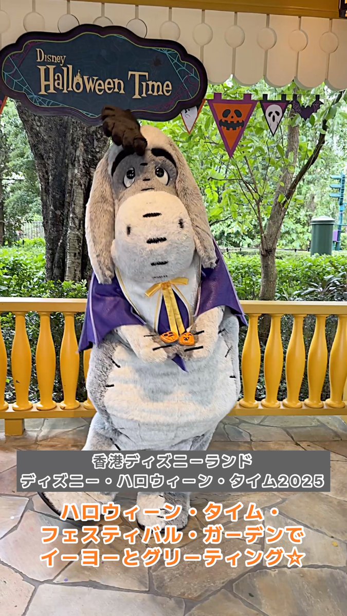 新品レア♡猫の日♡ディズニーストア☆スノードーム Yahoo!オークション - 激レア 不思議の国のアリス チェシャ猫