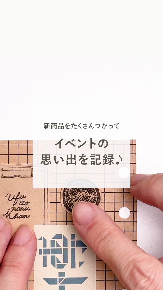 【限定品】紙博京都2025 ヨハク　コレクションボックス　シラカバノモリ 限定品】紙博京都2025 ヨハク コレクションボックス