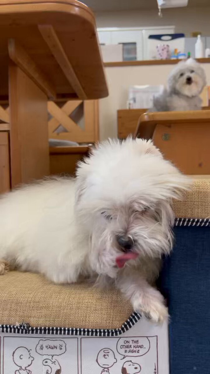 ハルくん (@9Z8lquSv8B3FMpN) / X