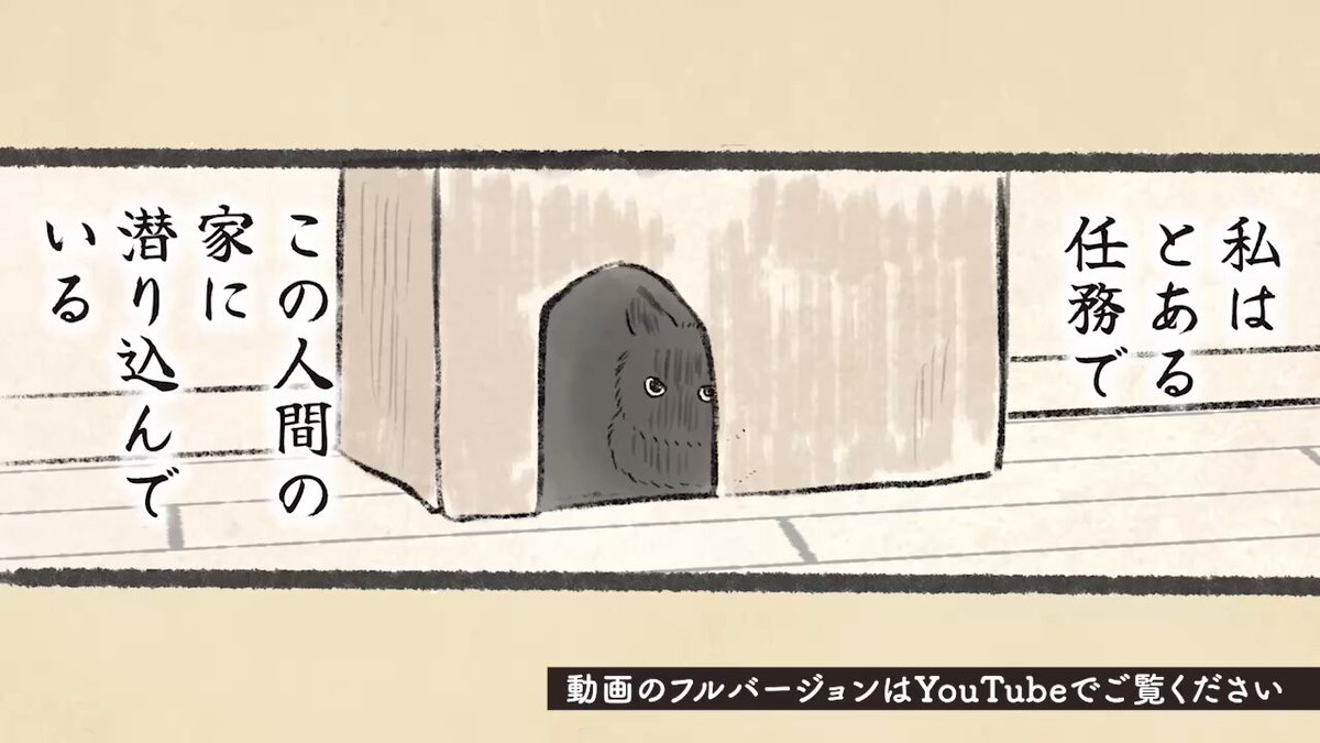 きじとら様 キジネコ様 (@Motidukineko) / X