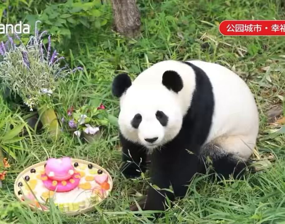 ろみ🐼 (@Yui_Xiang_panda) / Posts / X