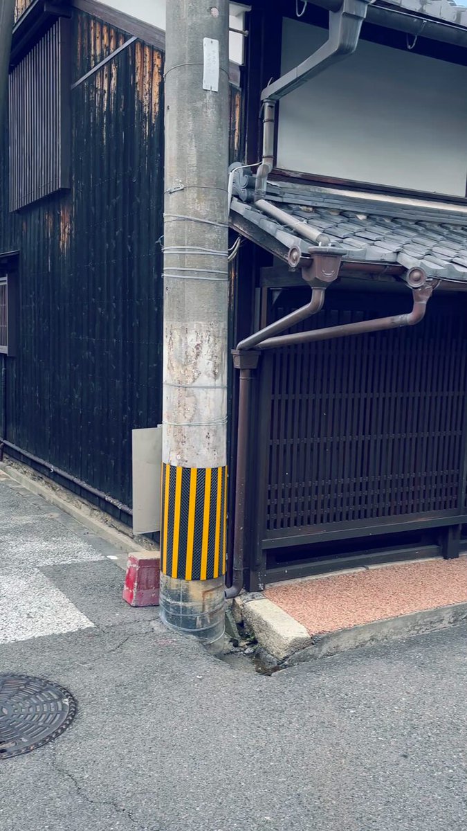 江頭誠 毛布オブジェ 招き猫 @makotoegashira's video Tweet