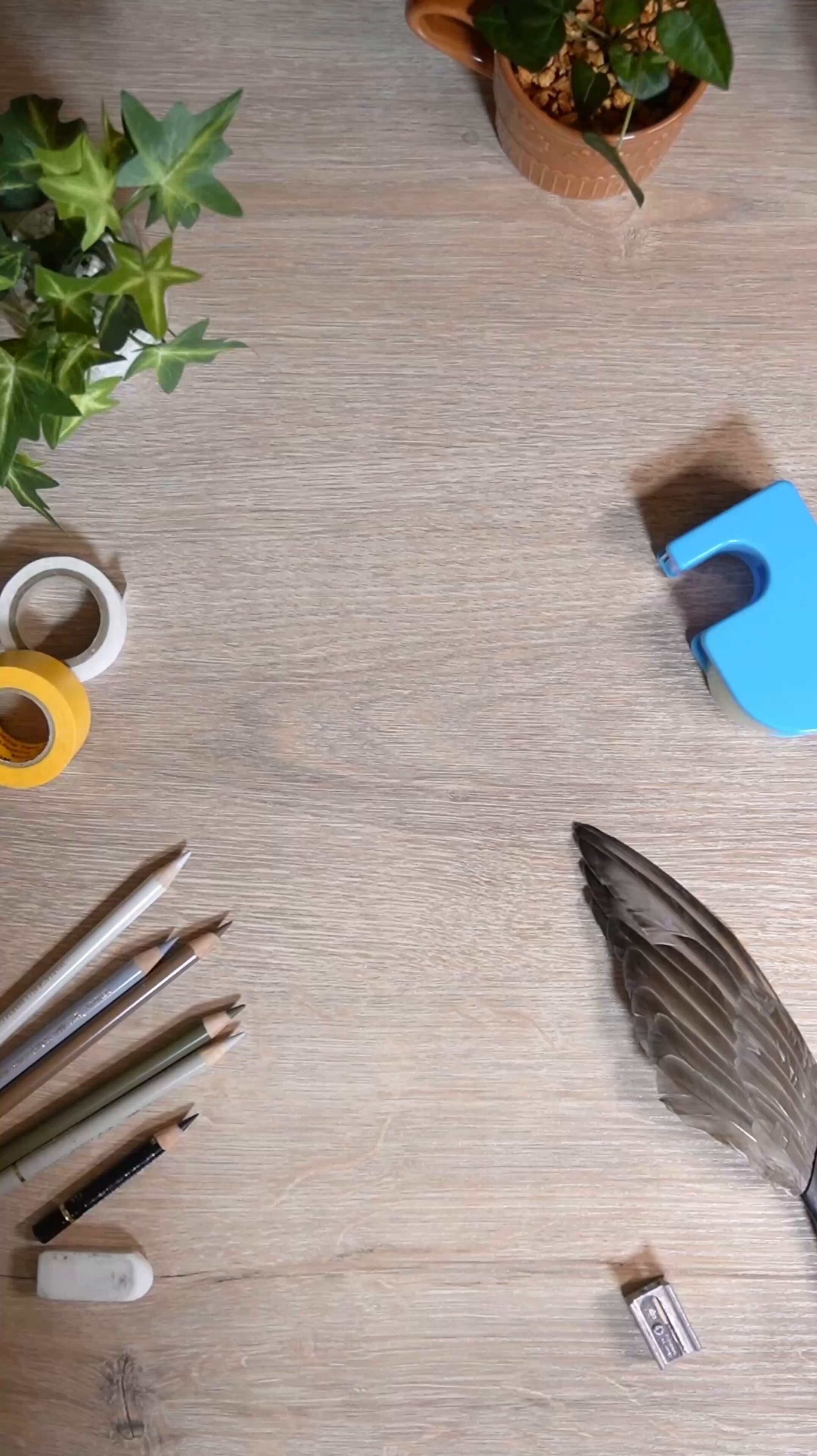 mieru731です♪ 色鉛筆画 mieru731様専用です♪ 色鉛筆画 そんな感じの