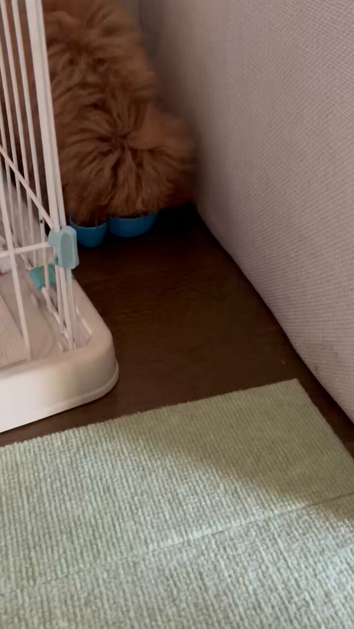 かずちゃん (@kazu13chan) / X