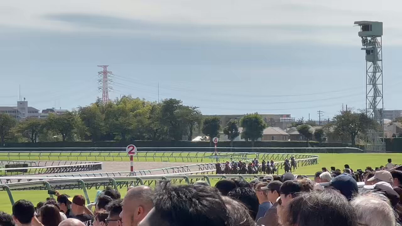 コマニキ🐴🏇🐎 (@komasan77777) / X