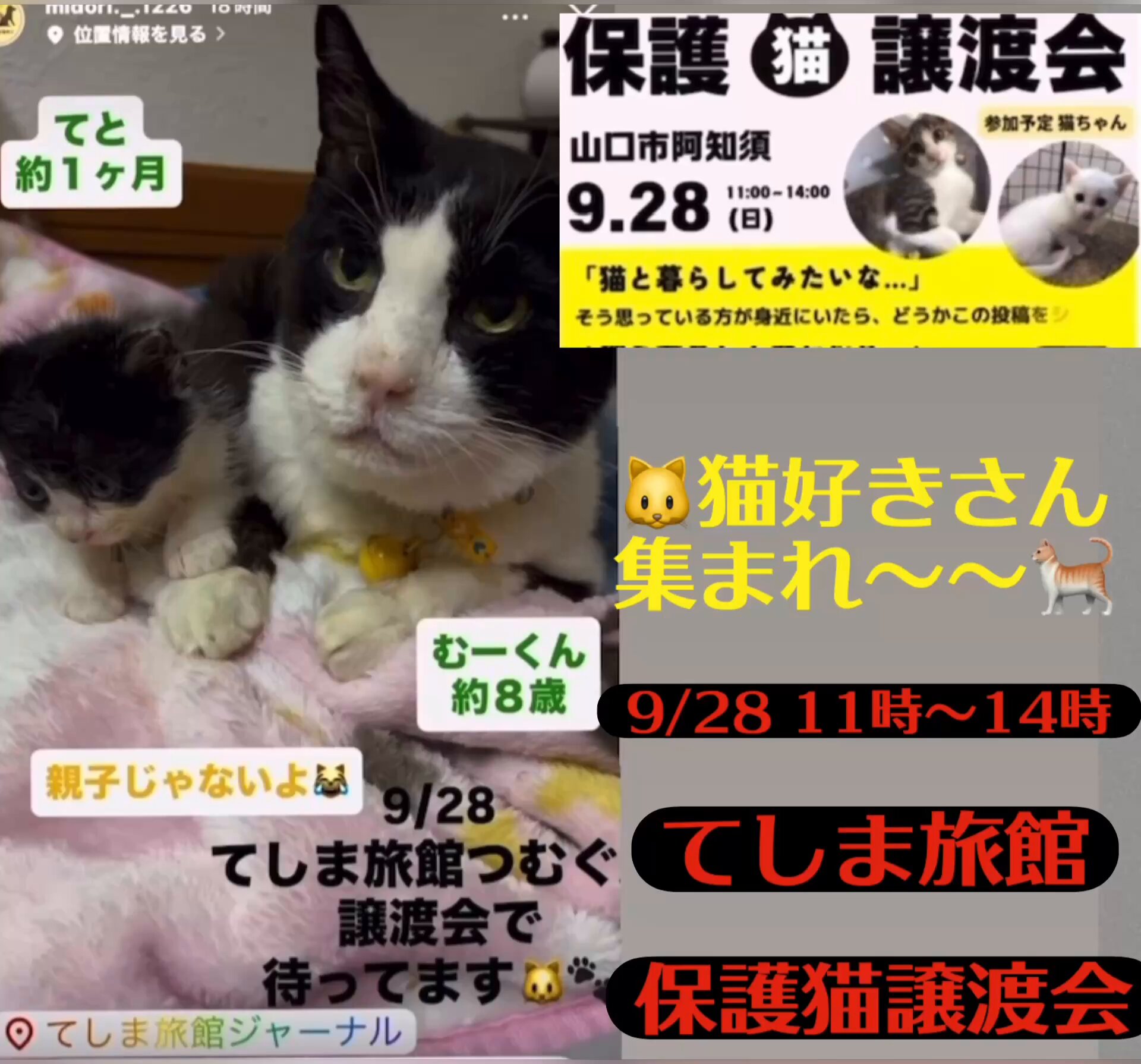 yama@猫飼っています　　修理、連絡ページ yama@猫飼っています 様 専用 修理、連絡ページ