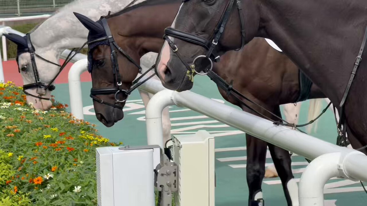 早い者勝ち❗️ファラオの金塊 狂った大大大金運！ sako（豪鬼/C/AWAY）vs Shuto（豪鬼/C/HOME）「Division F 第6節