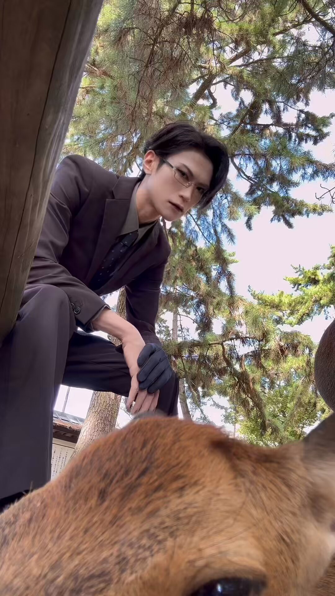 Am Amp 矢沢もとはるさんチェキ Amazon.co.jp: 矢沢もとはる チェキ : ホーム＆キッチン