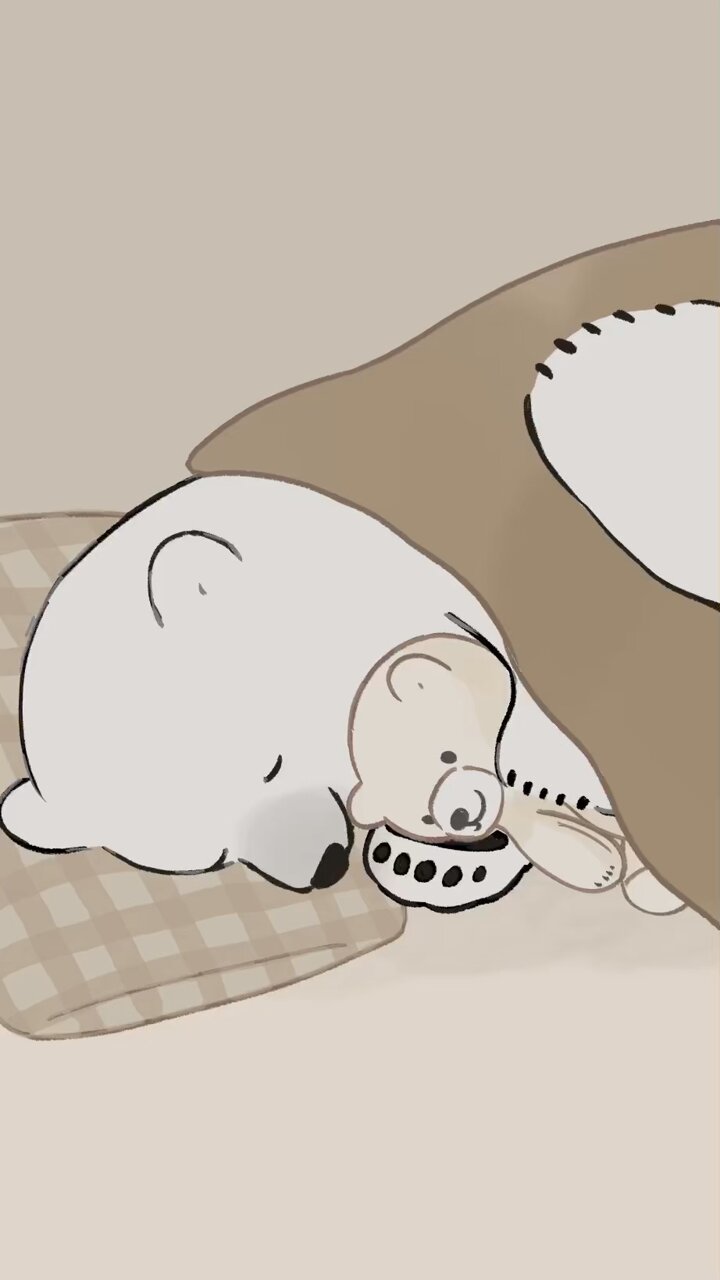 くうちゃん様用•*¨*•.¸♬︎ はじめてわくわくレーサー うさちゃん｜コンビ公式ブランドストア