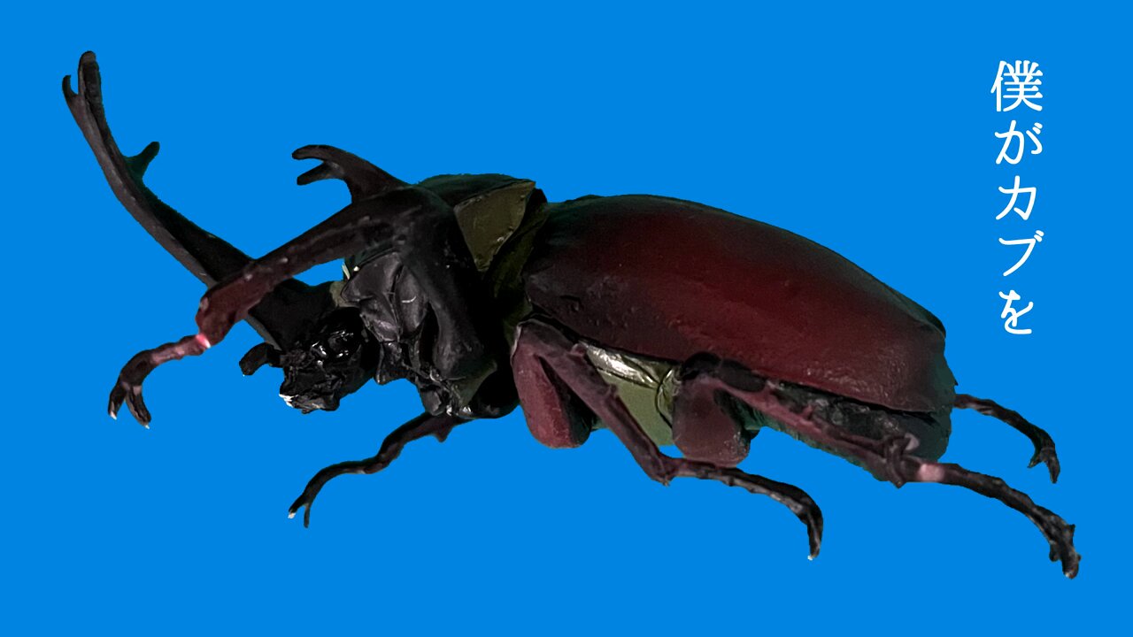 ハッピー⭐️ ZX-190 公式限定フリースポーチ付 | ZEXUS公式