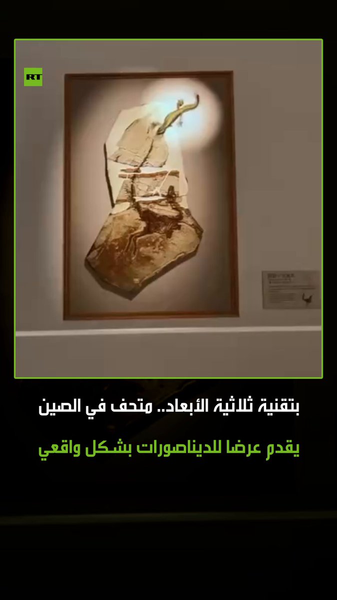 في تجربة فريدة.. متحف فني في الصين، يقدم تقنية حديثة تُظهر ديناصورات متحركة بطريقة واقعية للغاية بعرض ثلاثي الأبعاد، مما يمنح الزوار فرصة نادرة للعودة إلى عصر ما قبل التاريخ. #ريل 