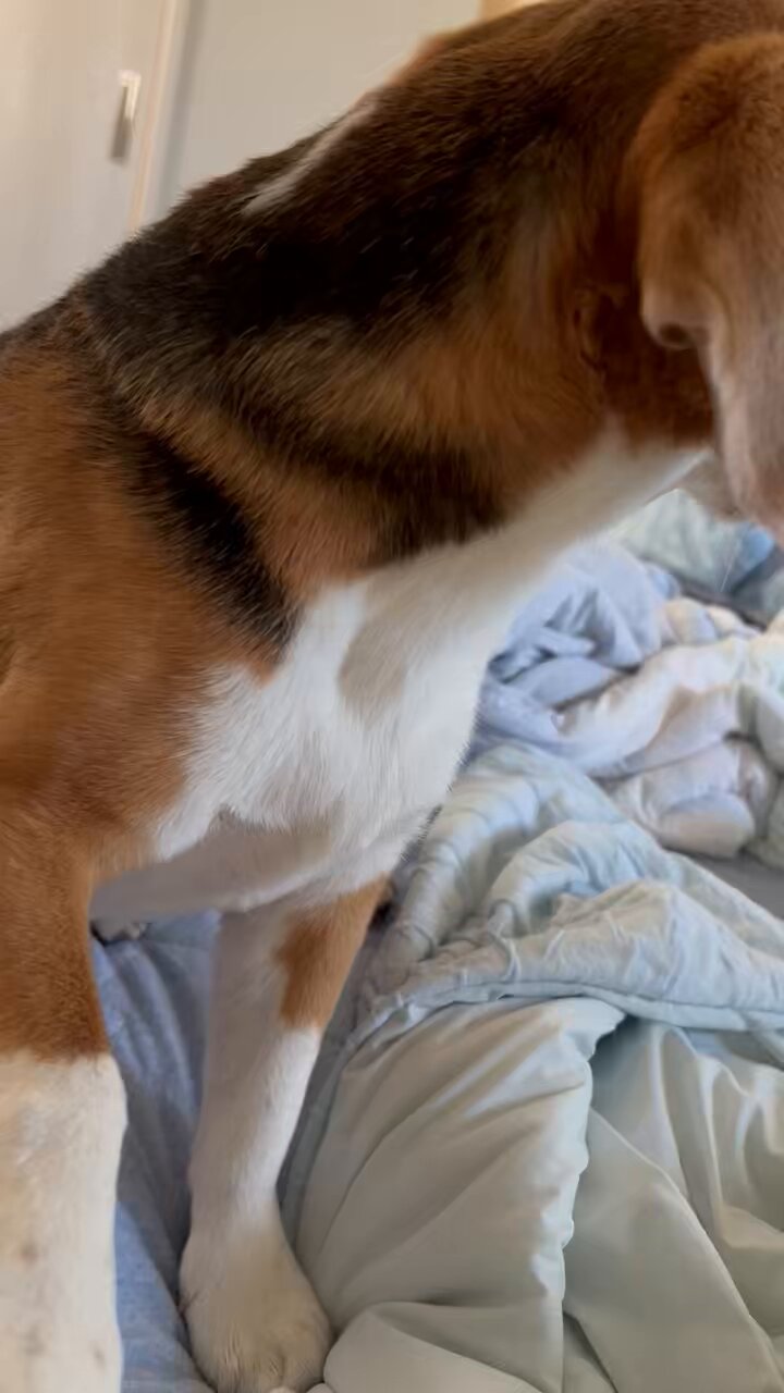 ルークです adidas TERREX SKYCHASER GORE-TEX｜BILLY'S ENT 公式通販