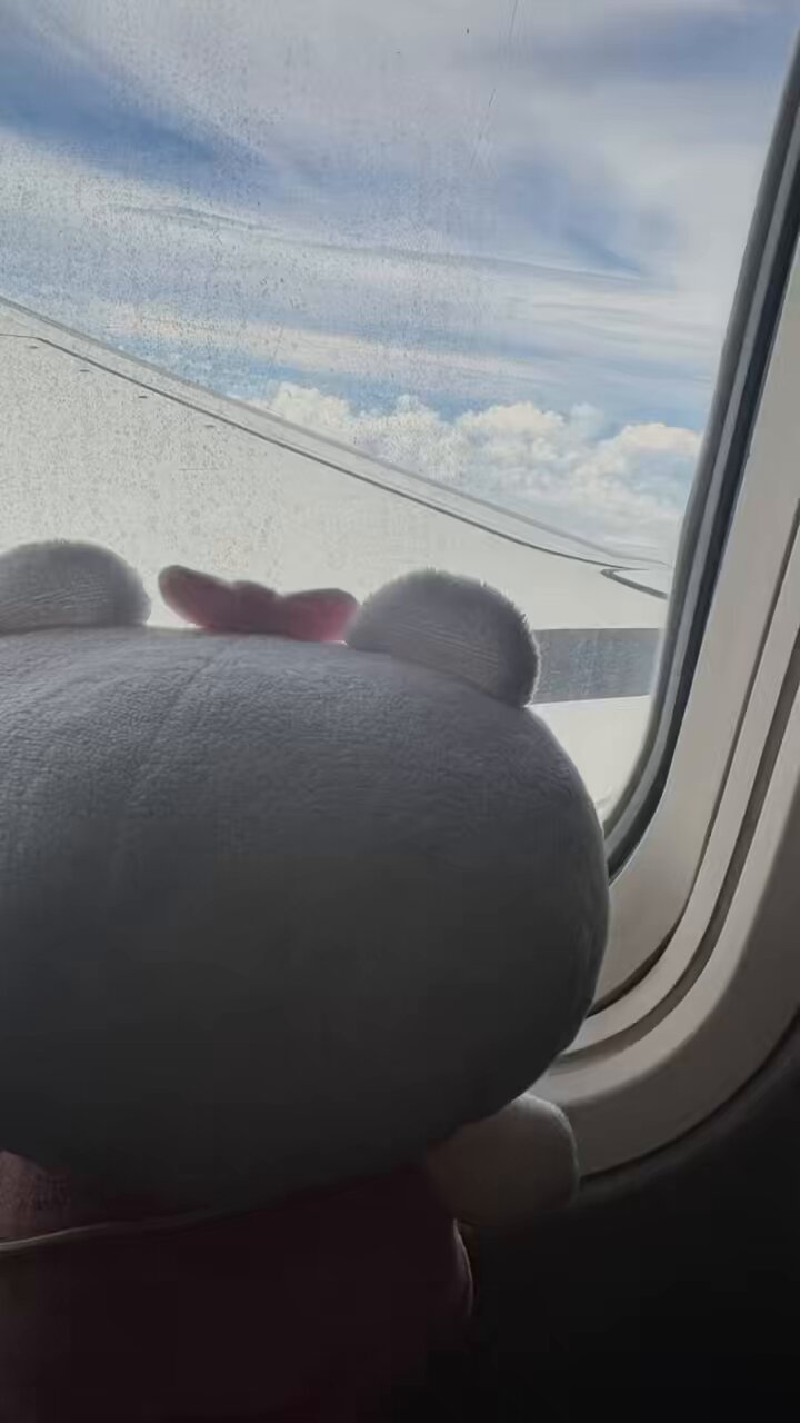 クマ子🐻🎀 - Search / X