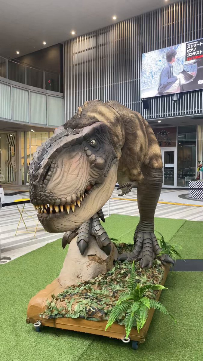 実は 恐竜の生き残り (貴重なアーカイブ) です。。。と か げ 実は 恐竜の生き残り (貴重なアーカイブ) です。。。と か げ