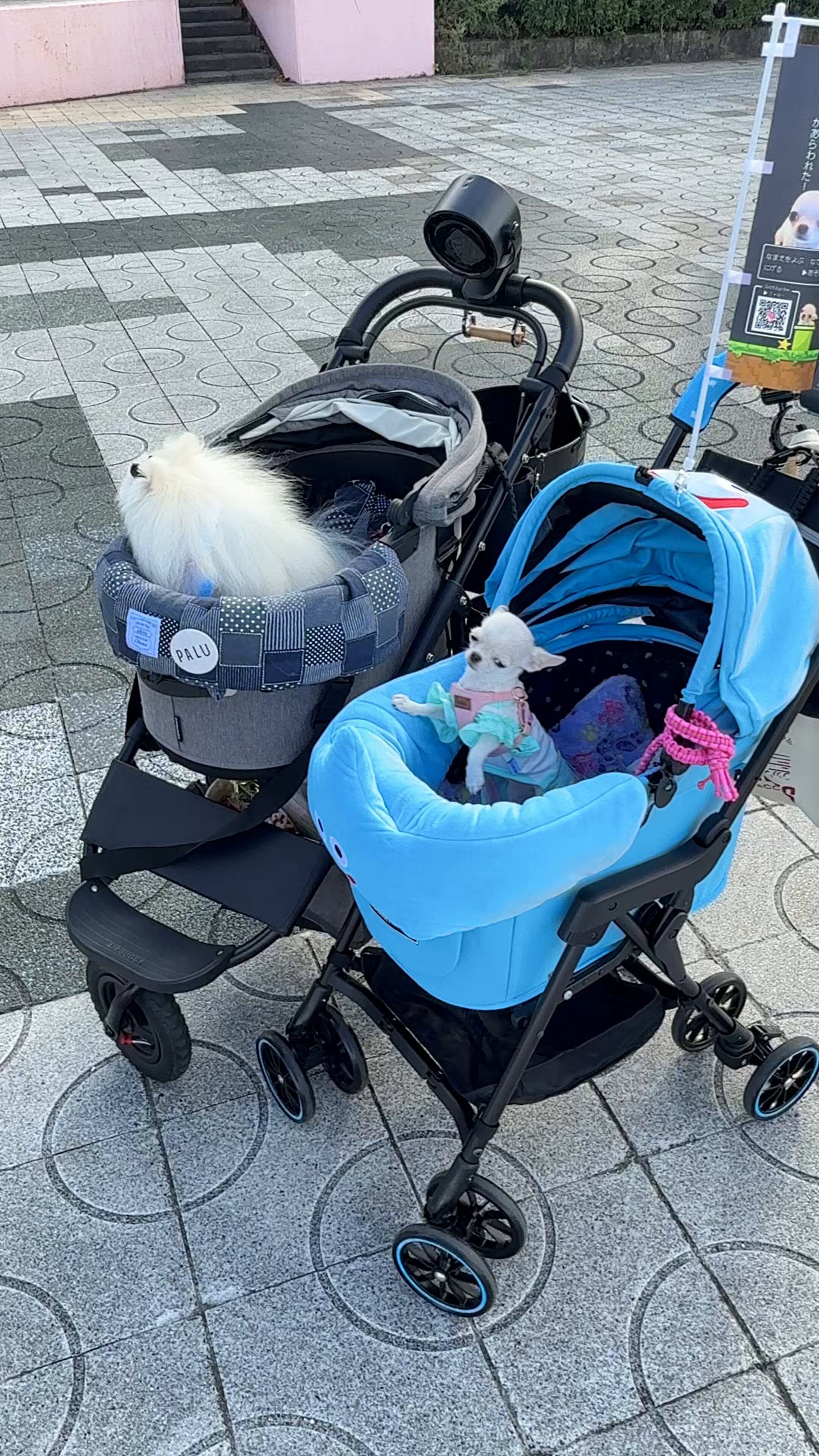 ちーさま注文ページ choppi on X: 