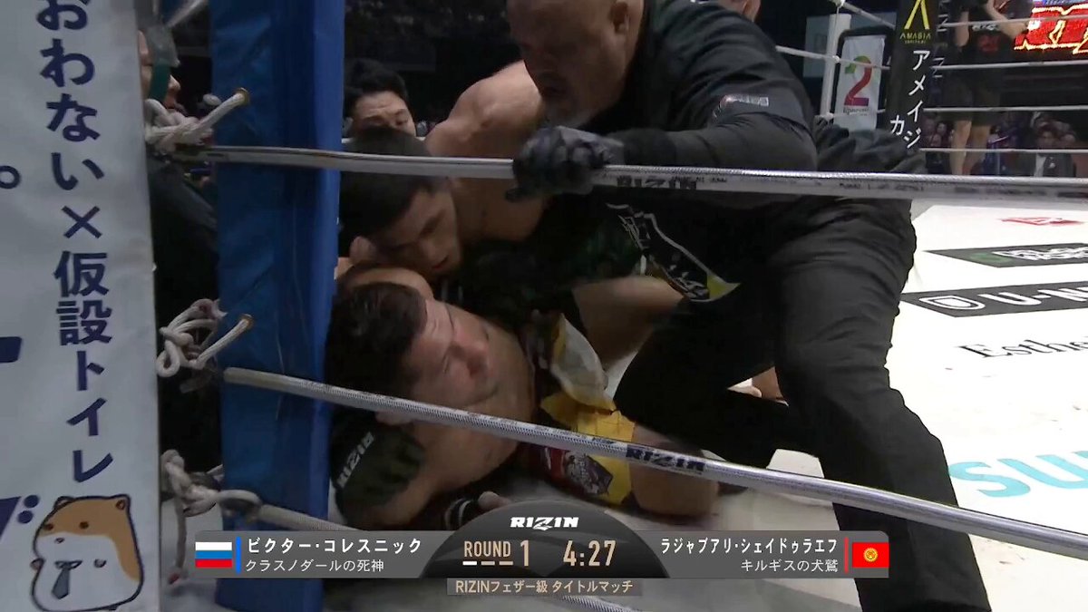 Highlights by RIZIN FF OFFICIAL (@rizin_PR) / X
