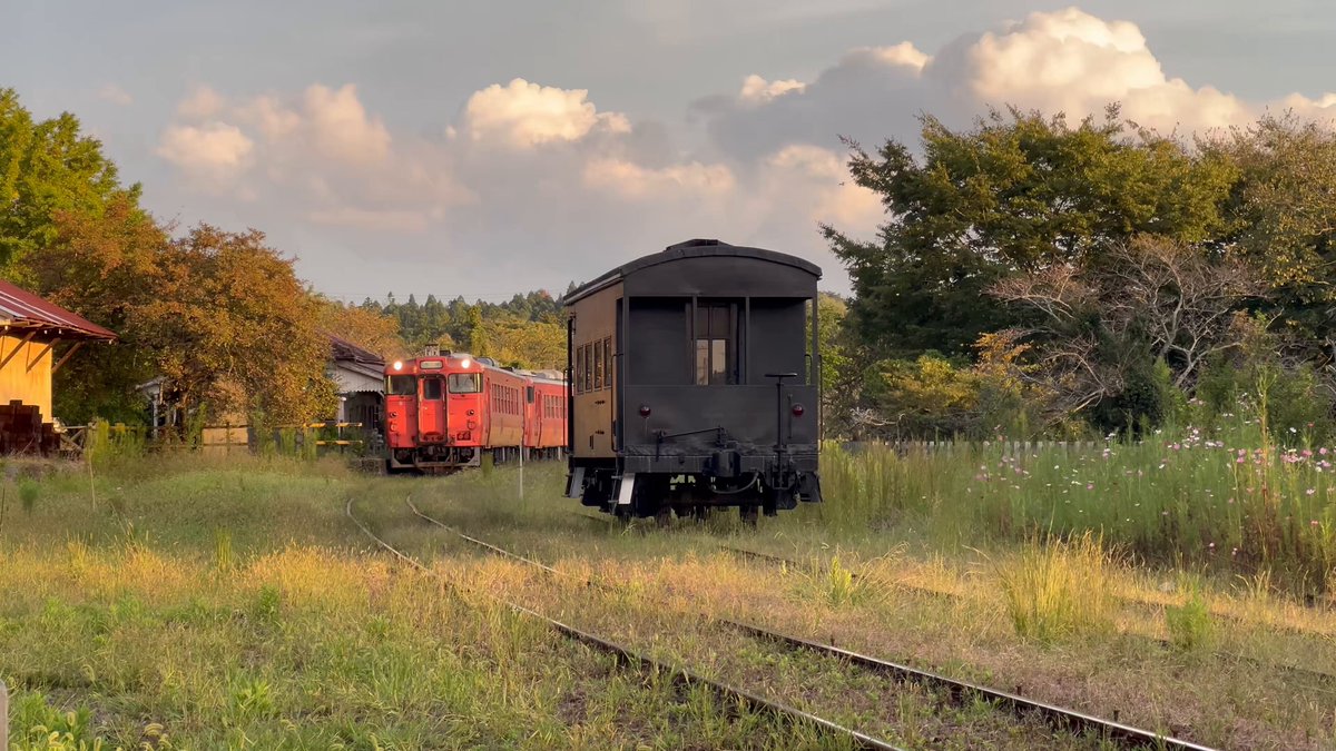 ぶんぶん丸【公式】【硬式】【肛式】【ギンギン